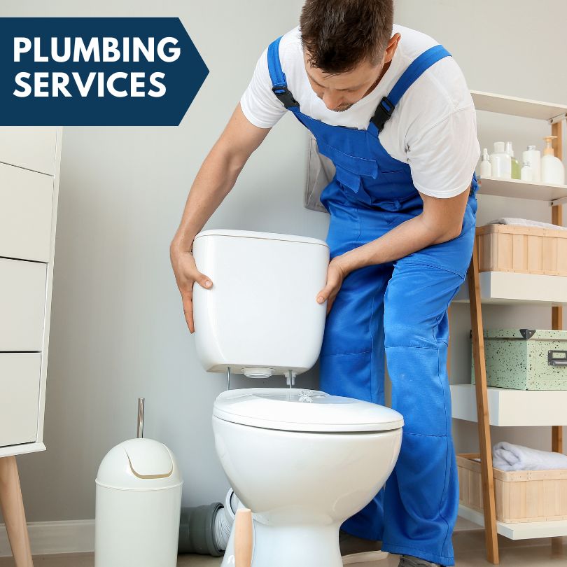 Plumbing Company in Vesta, MN